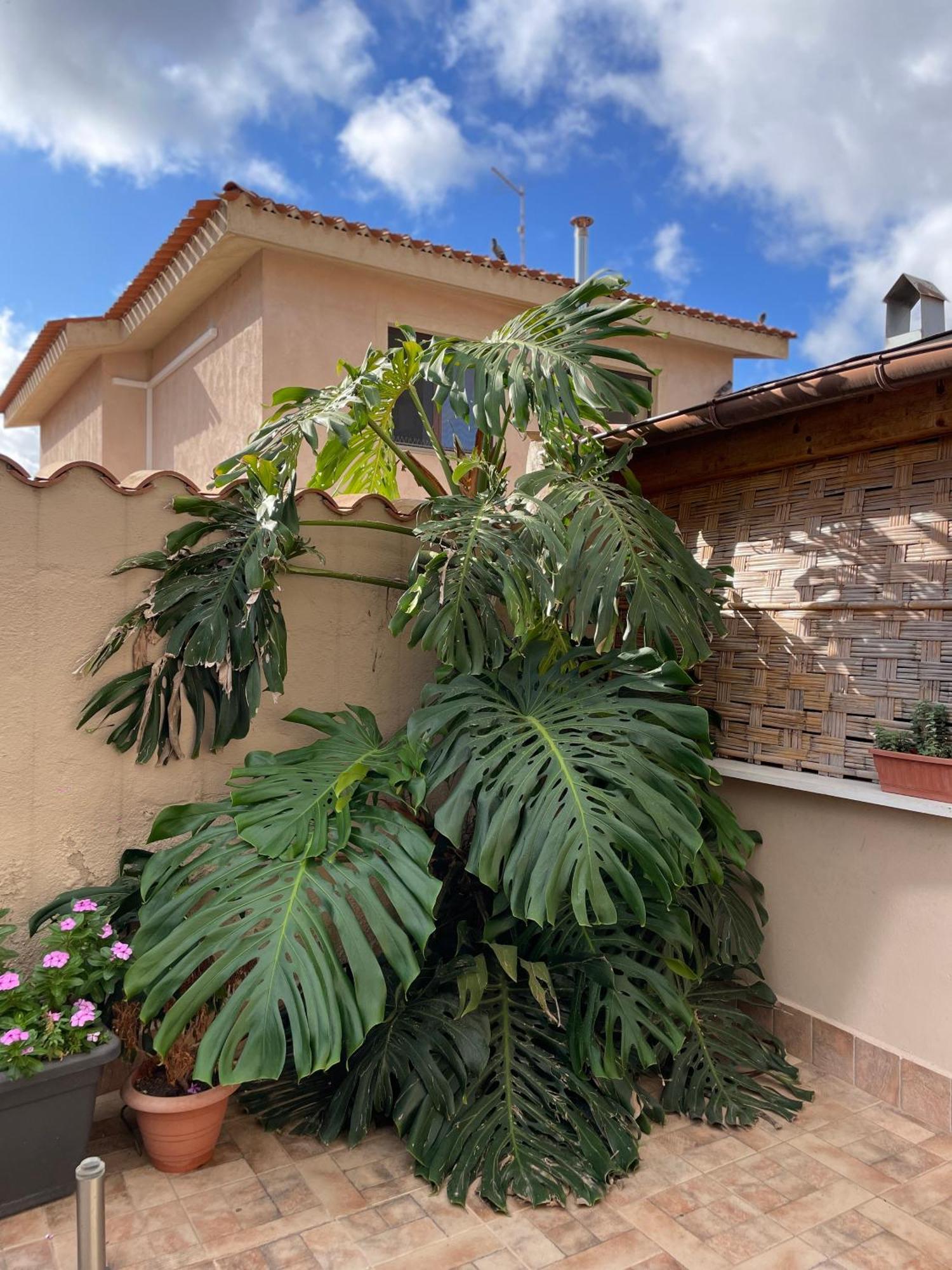 40° Parallelo Guest House Riola Sardo Extérieur photo